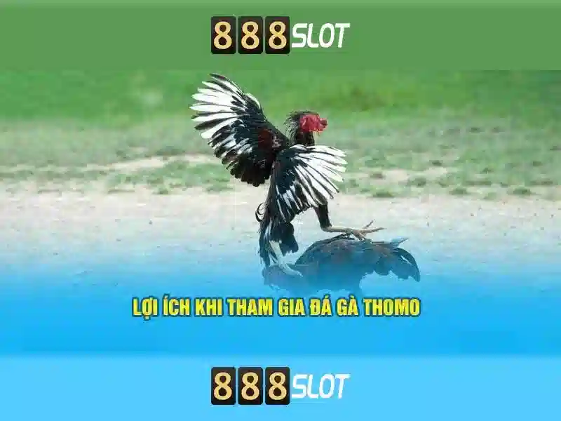 💎nha cai nohu.com💎