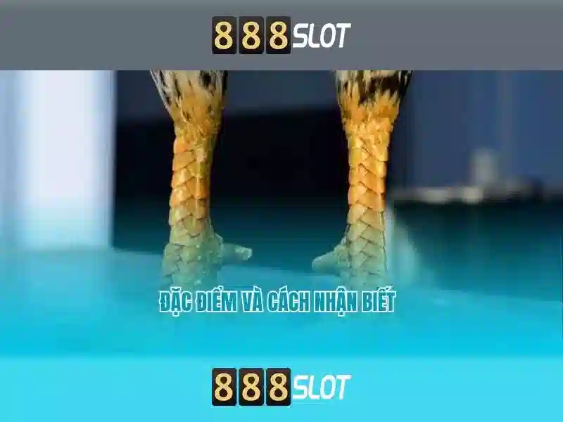  casino online - 888slot