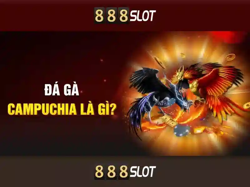 💎cách chiến thắng nhà cái💎