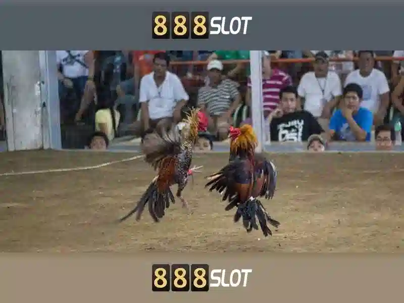 💎sin88 mba💎 - sin88 best - sin88 s net