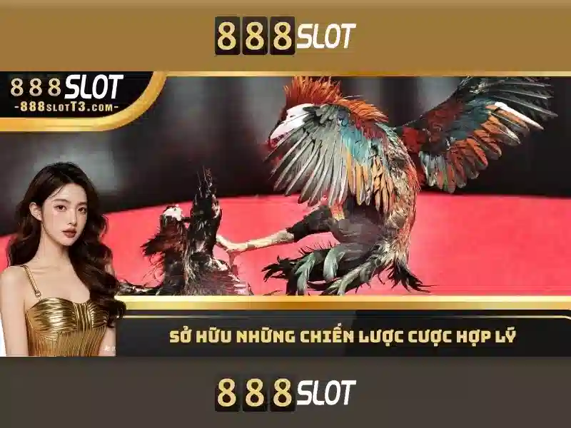 💎vn88 cá cược💎