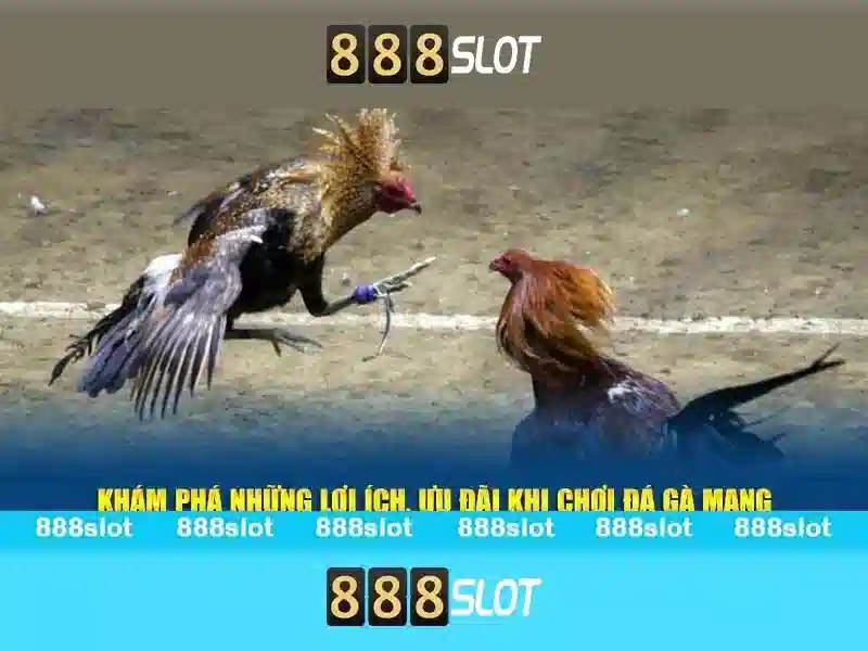 💎top 10 trang cá cược bóng💎