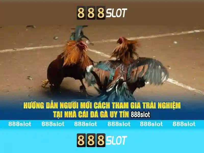 💎fb88 – nhà cái châu á đẳng cấp hàng đầu💎