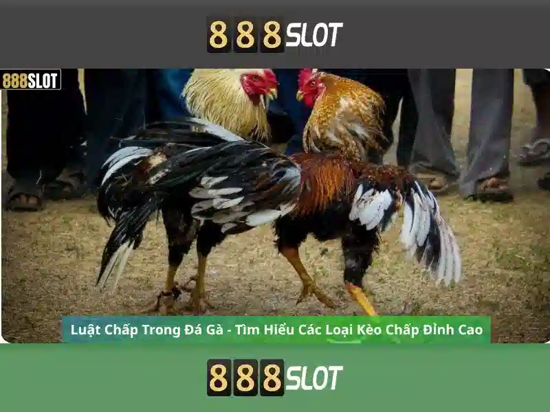 💎tỷ lệ cá cược aff cúp💎