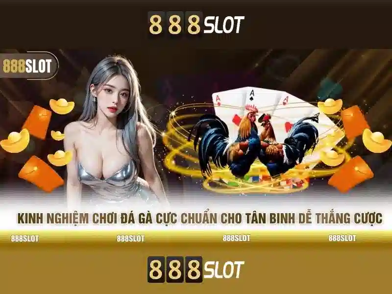 💎nha cai fb88sg💎