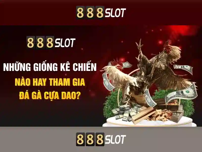 điều kiện cấp phép - 888slot