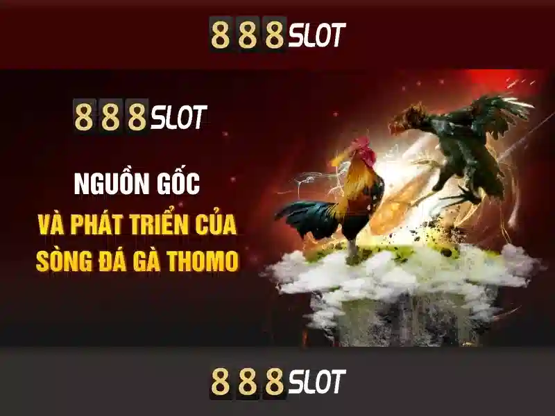 💎cải tạo nhà ống 1 tầng💎