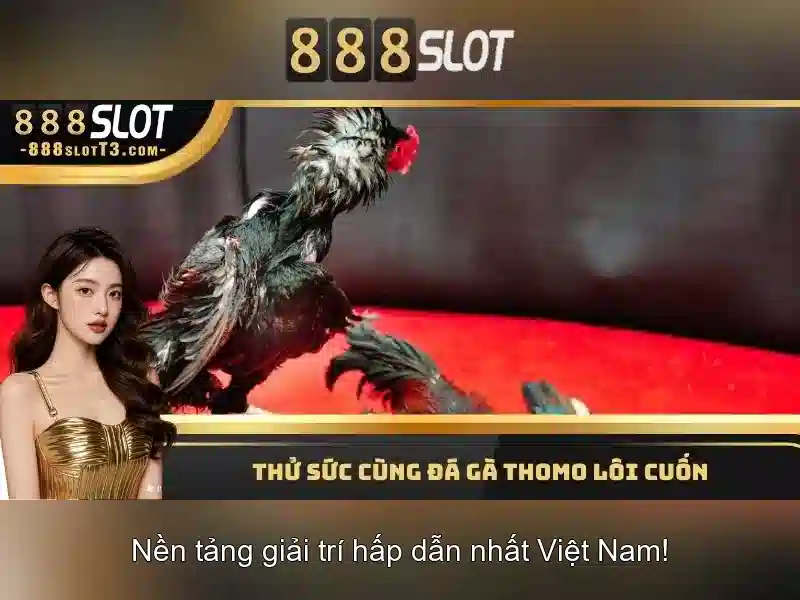 💎keo nha cai giai nam my💎
