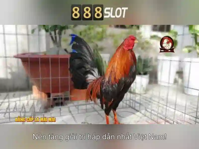 💎danh sách bác sĩ tư vấn mùa dịch💎