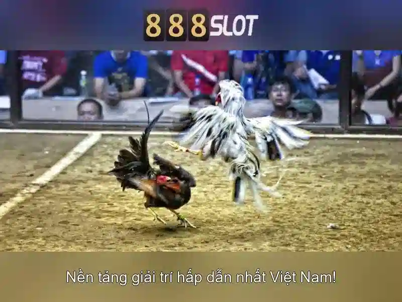 💎du doan keo nha cai aegoal.vip💎