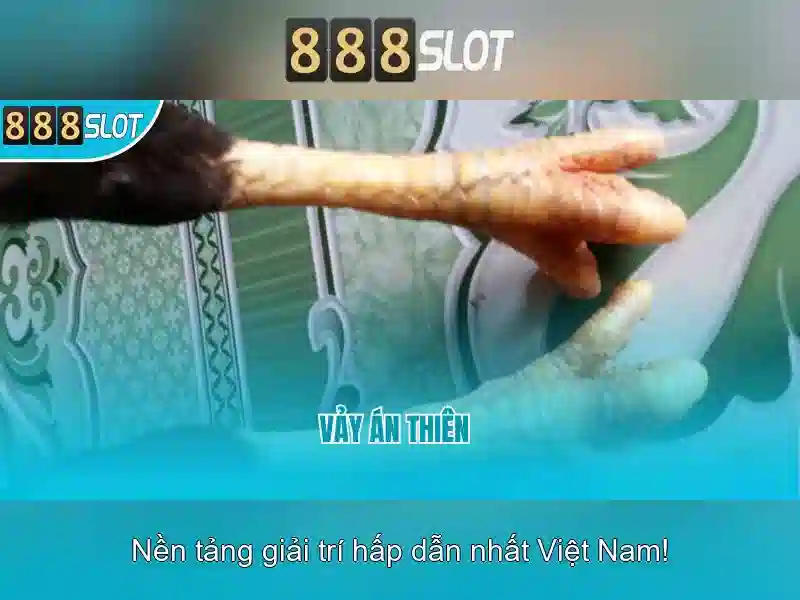 💎nhạc sống tây bắc mp3💎