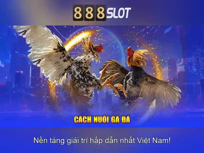 dịch vụ Slot - 888slot